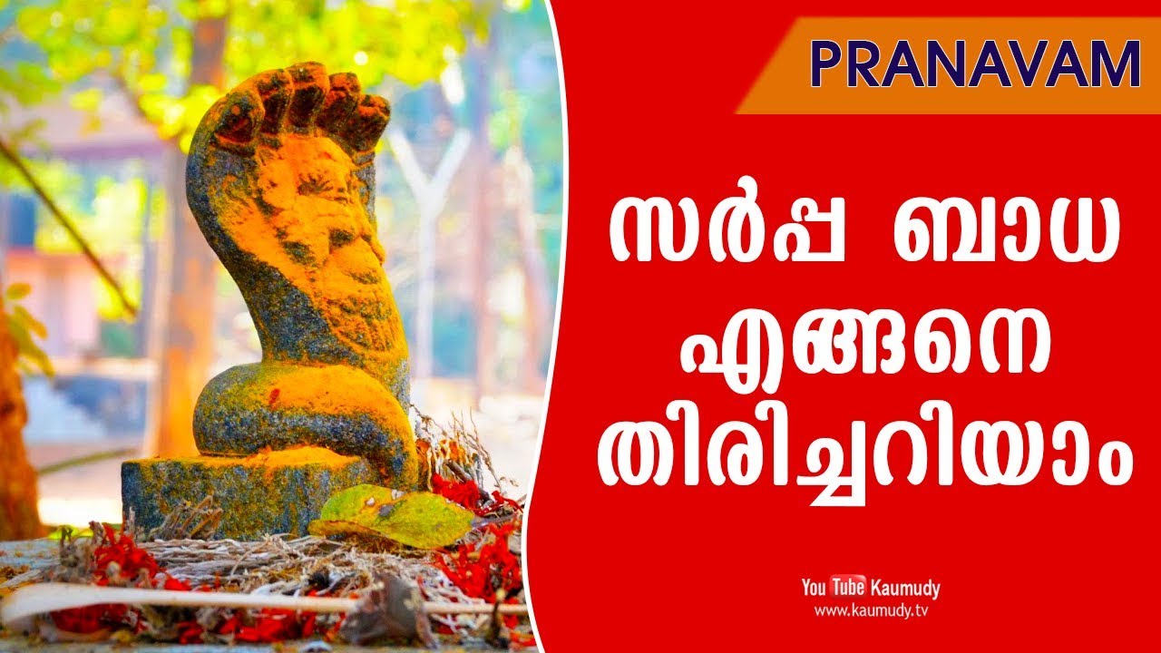 സർപ്പ ബാധ എങ്ങനെ തിരിച്ചറിയാം | Pranavam | Ladies Hour | Kaumudy TV