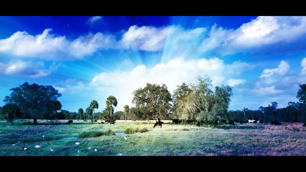 Living on a Few Acres: Florida Cottage Food Industry Laws