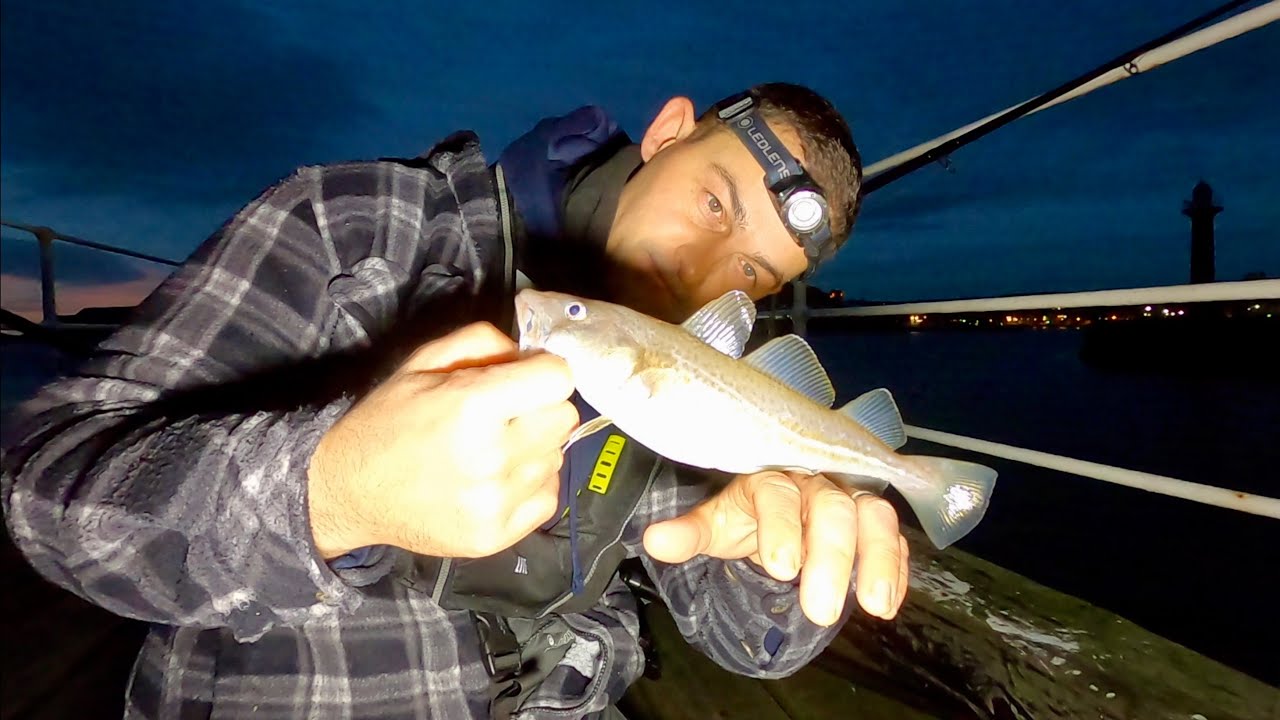 Winter Sea Fishing for Cod - Whitby East Pier | The Fish Locker