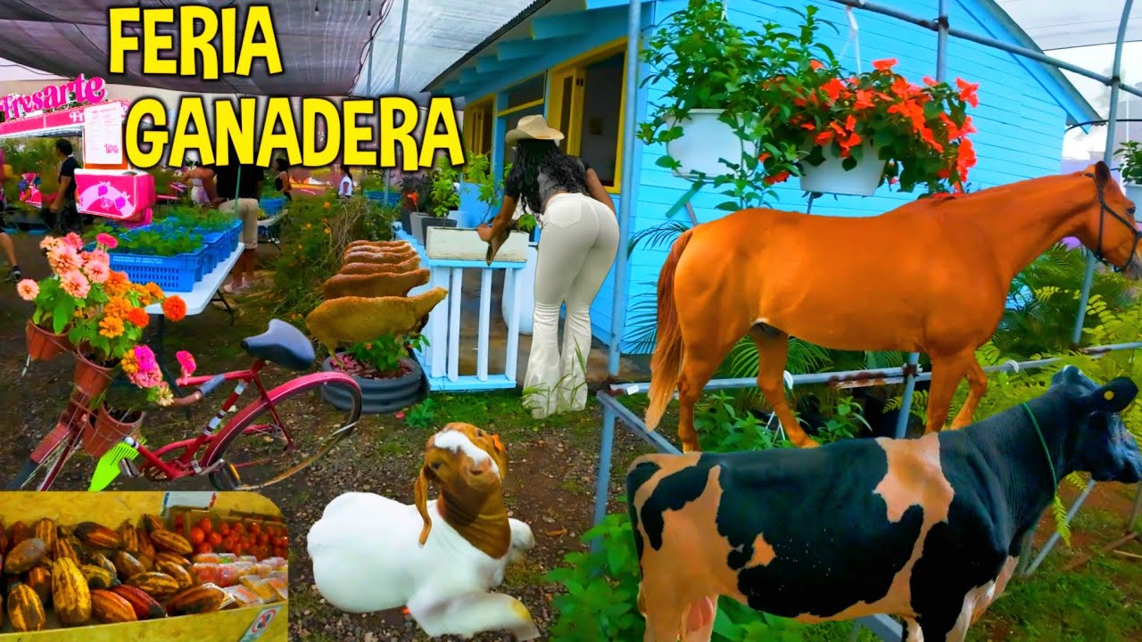 🔥 2025 AGRICULTURAL FAIR in 4K 🎥🐄 | Livestock, Tradition, and Dominican FLAVOR! 🌿🇩🇴 | CATTLE CITY