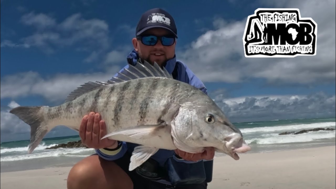 White Steenbras and Kob in some tough conditions...