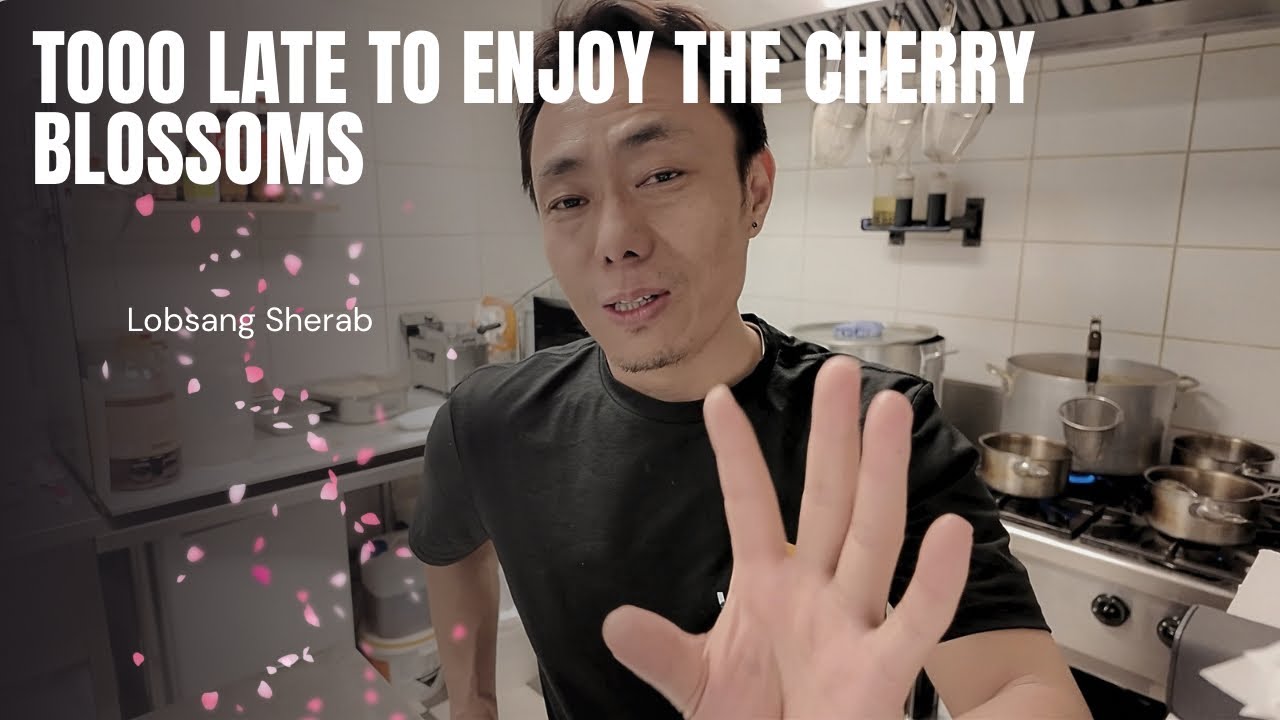 Another daily Vlog #tibetanvlogger #tibetanyoutuber 