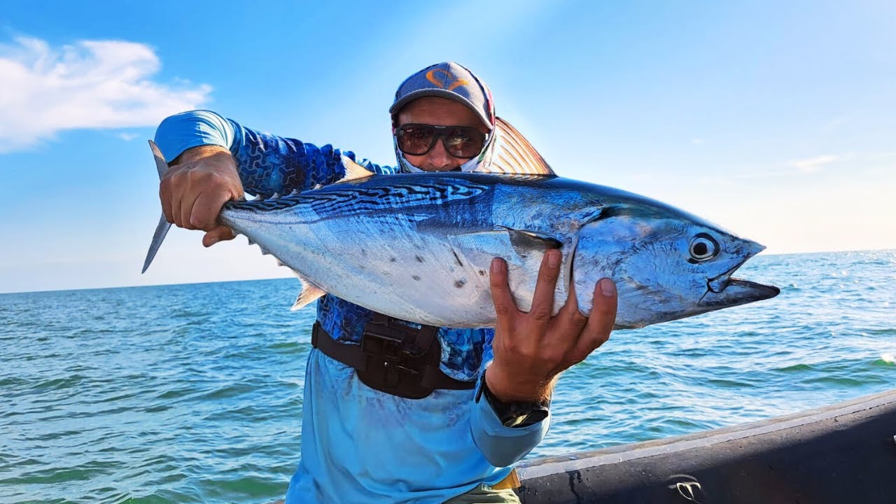 Tunų žvejyba Italijoje, Adrijos jūra 🌊🎣🐟 / Spinning Frenzy: False Albacore Tuna Fishing Adventure!