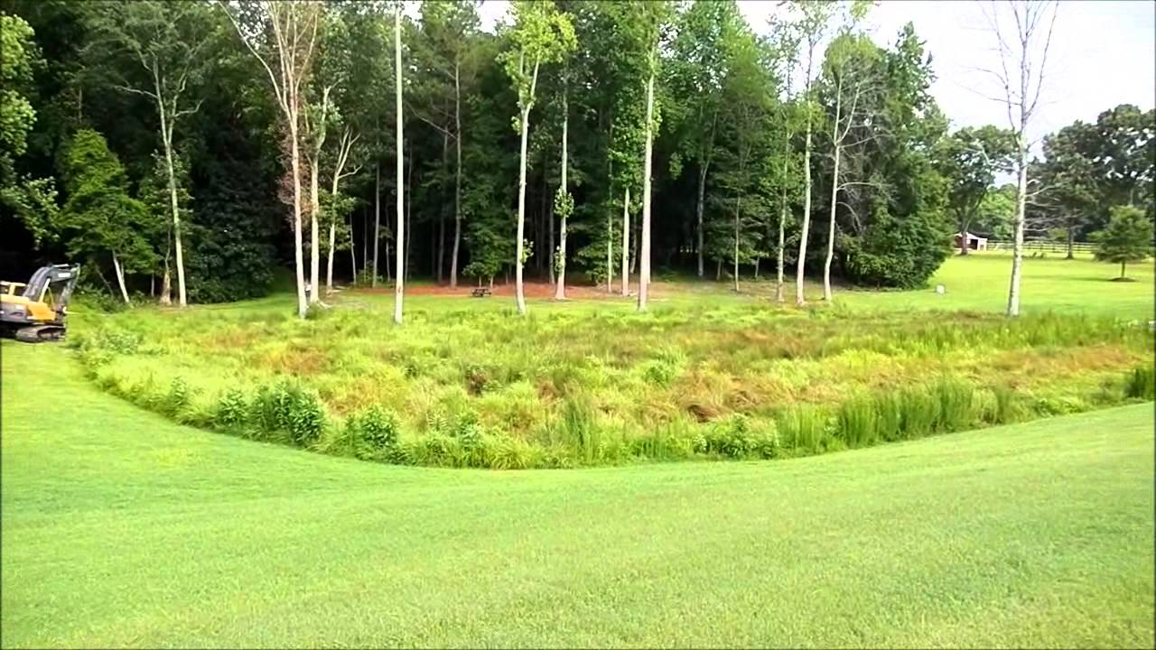 Building Another Pond