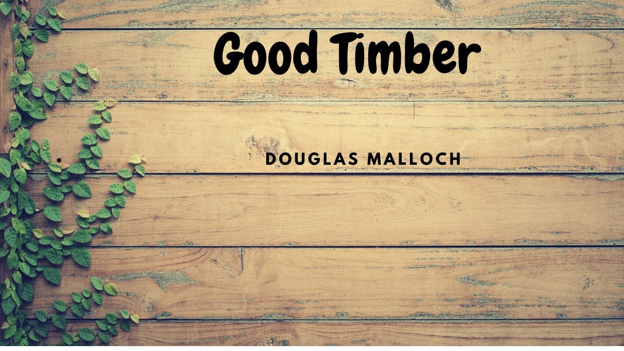 Good Timber II Douglas Malloch II Powerful Poetry ( Summary in Description )