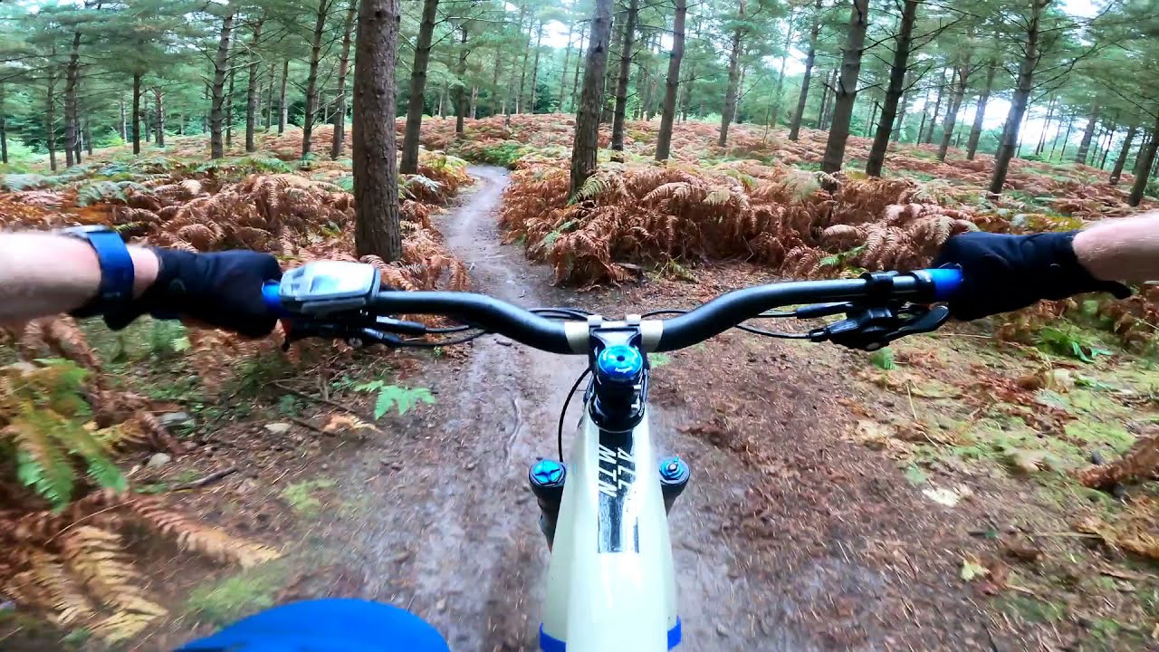 Surrey Hills MTB - FORK RIGHT 🔵 Trail