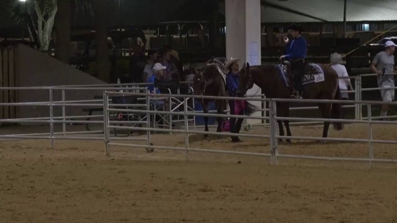 South Florida Reining Horse Association August 9, 2019