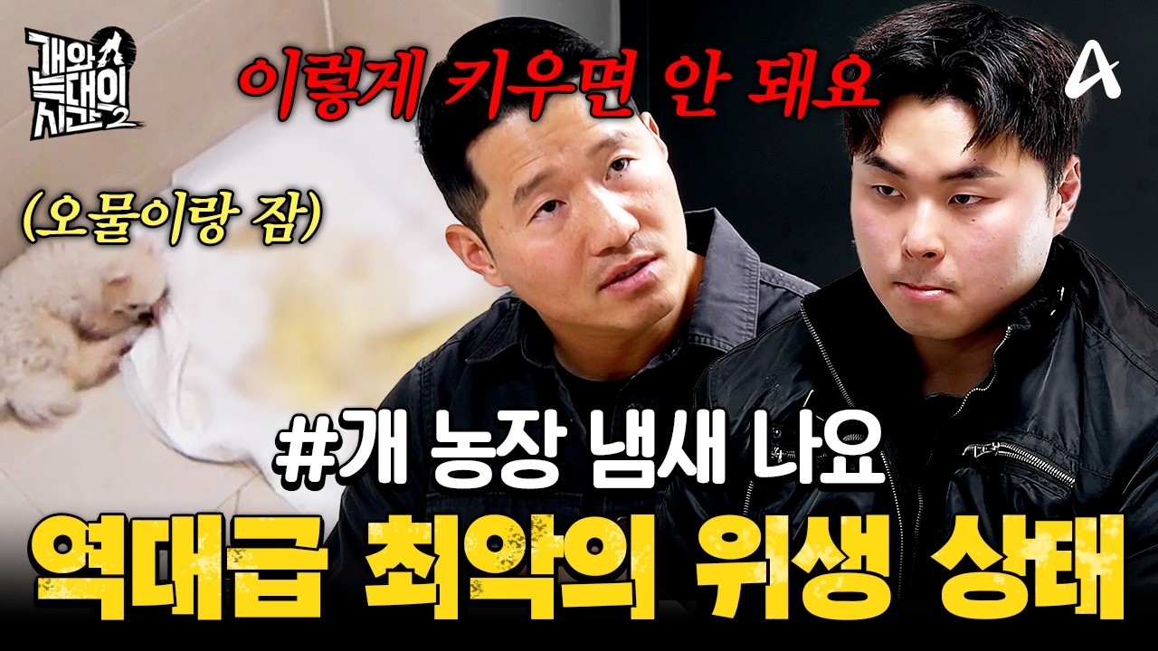 [#클립배송] 악취와 오물 속에서 살고 있는 개들😨 강형욱도 충격받은 최악의 위생 상태 | #개와늑대의시간2 11회