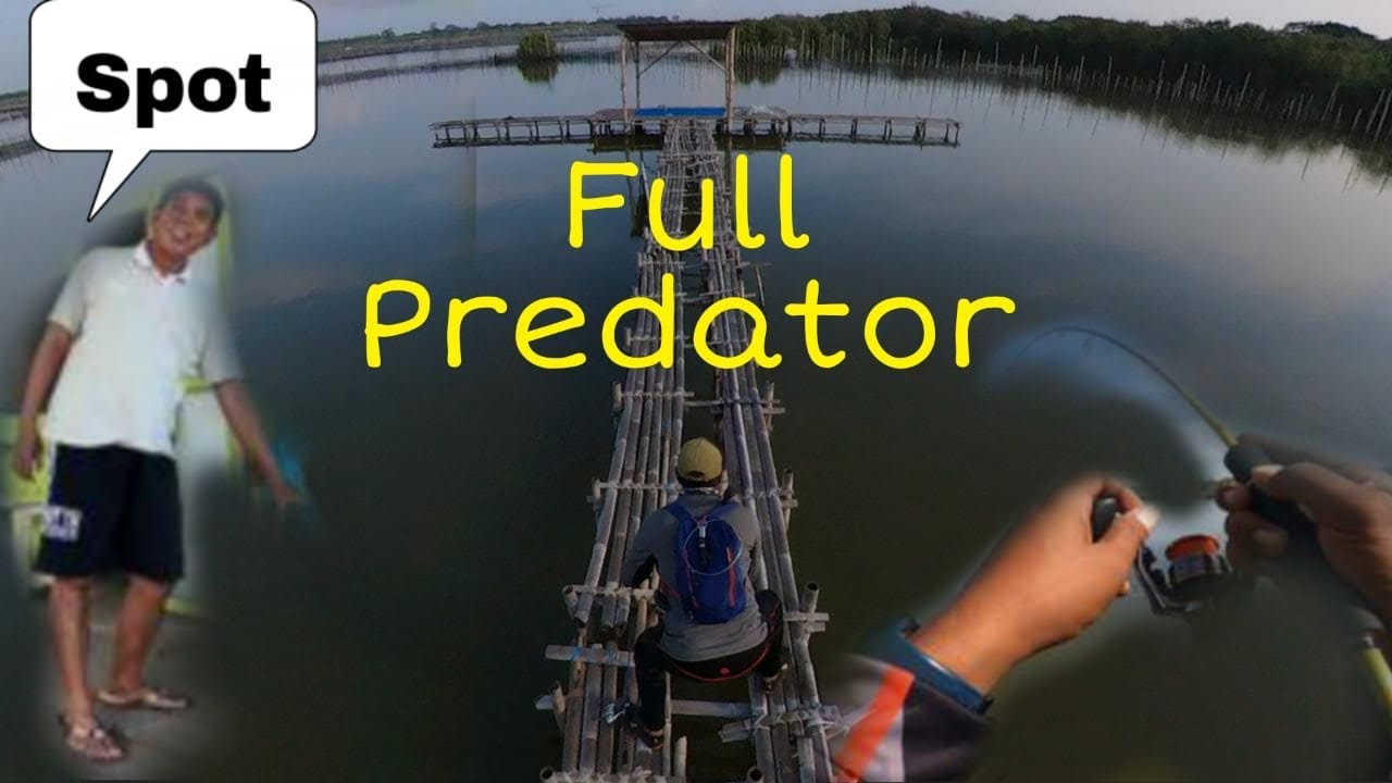 Full predator ditambak pak sugeng// ultralight casting semarang