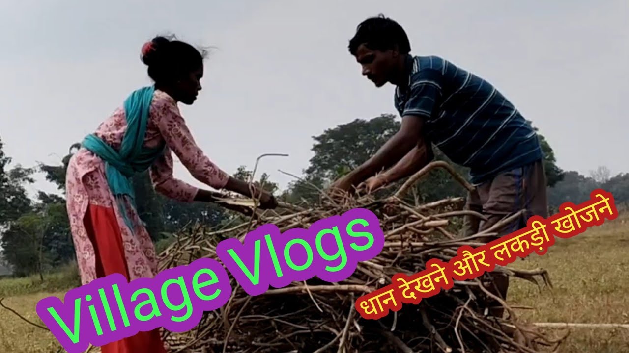Dhan Dekhne Aur lakdi Khojne/Village Calchar Vlogs/#bandhnasvlog