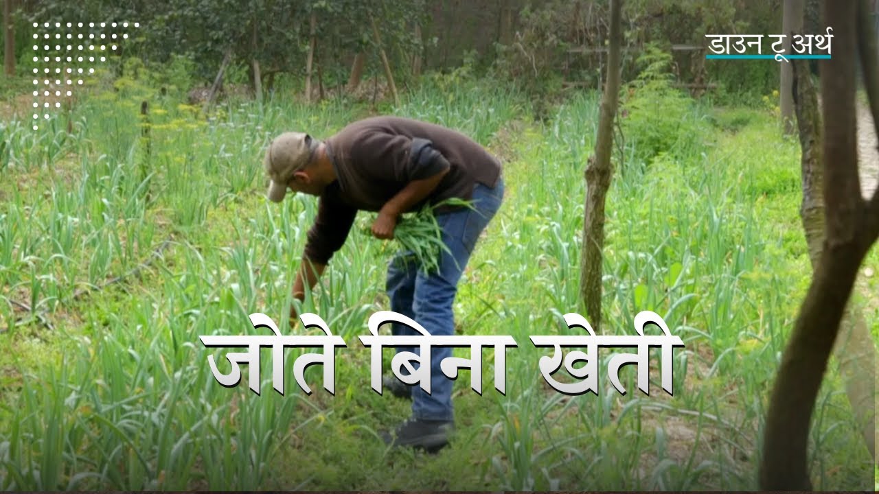 हिमाचल में प्राकृतिक  खेती कर रहा है यह जोड़ा | How to grow an organic ‘No-till’ farm