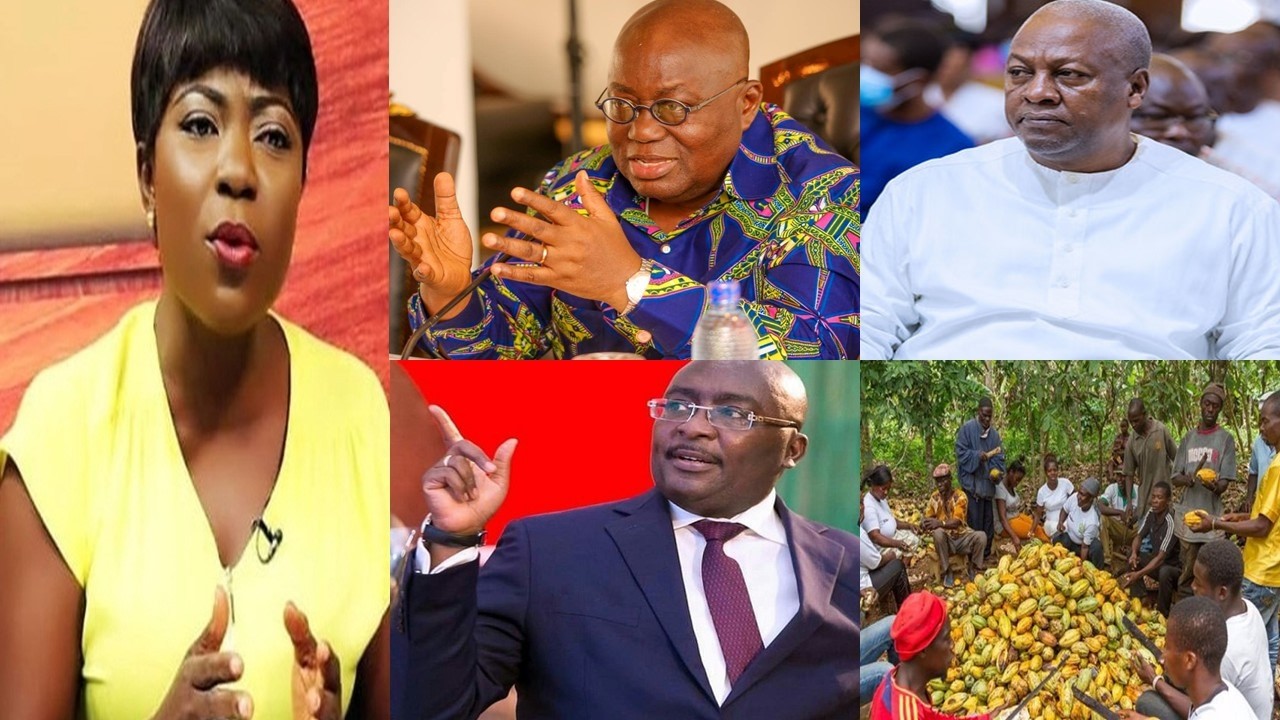 Afia Pokuaa finally apologized to Nana Addo as she finally disgràce Mahama over cocoa price....