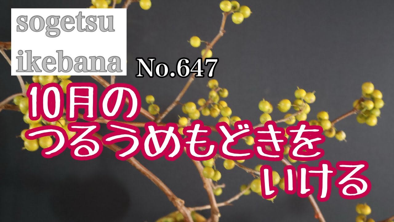 10月のつるうめもどきをいける。No.647