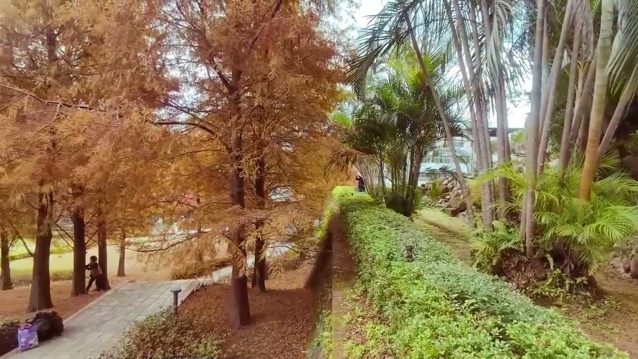 期待與希望 ※北投行天宮(一)
