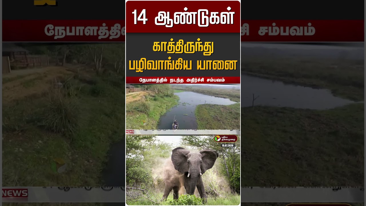 14 ஆண்டுகள் காத்திருந்து பழிவாங்கிய யானை | Nepal