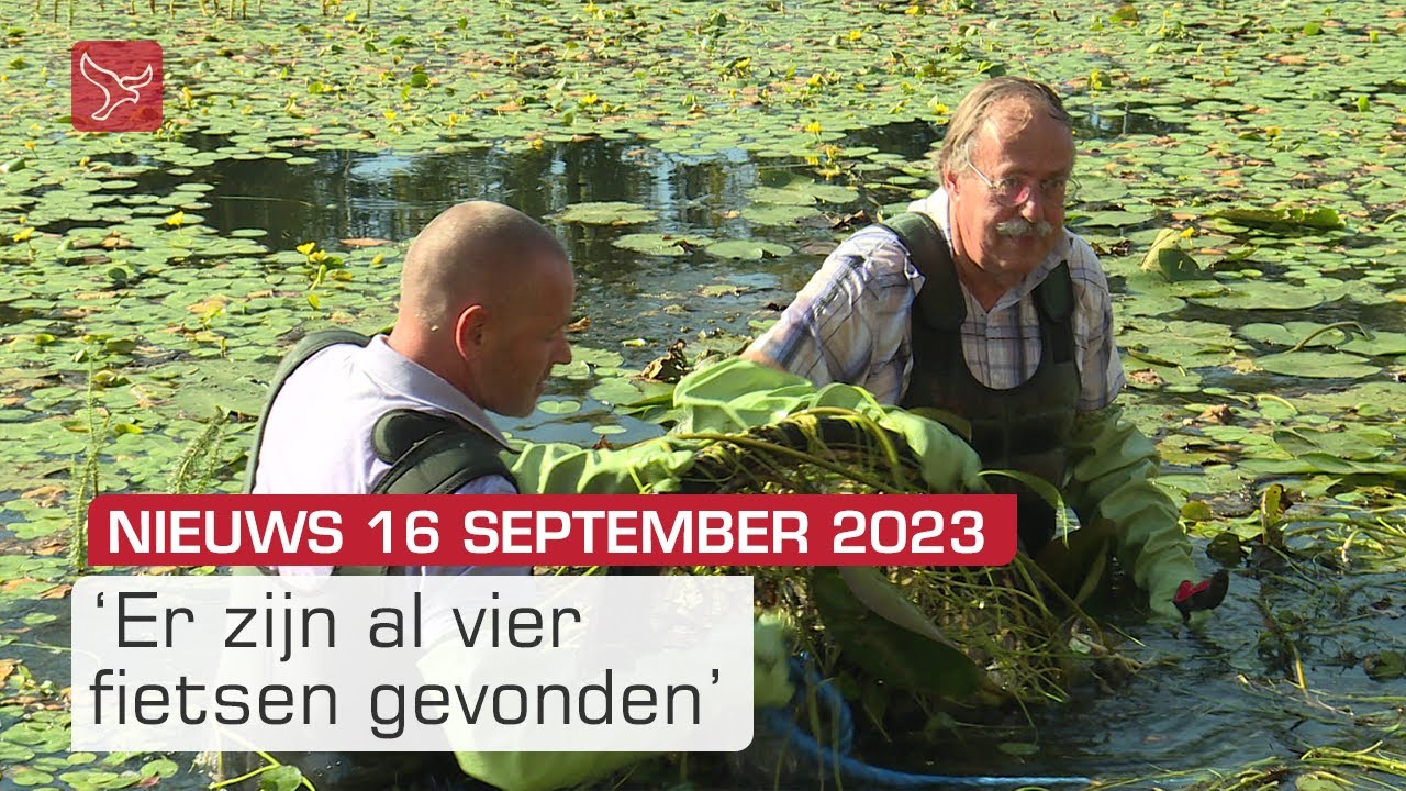 Tot je middel in het water en de drek en veel belangstelling festival | Dit is Flevoland
