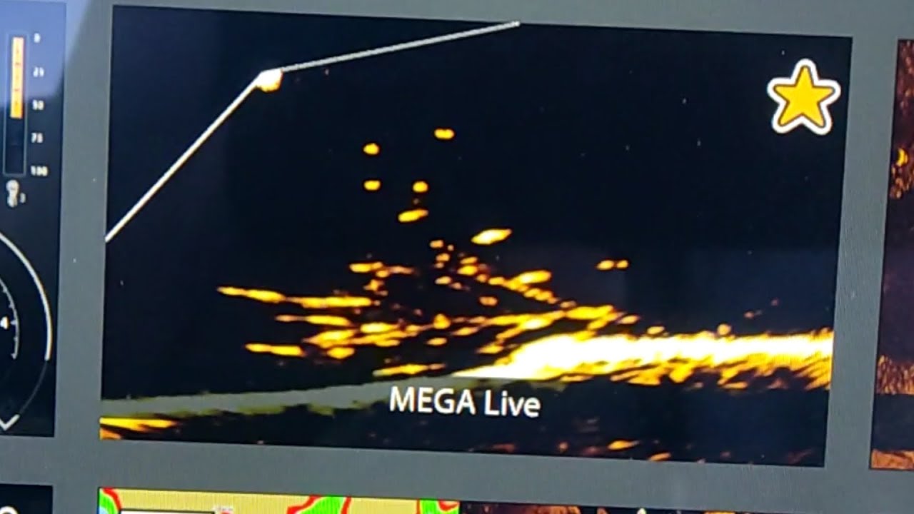 СРАВНЕНИЕ Humminbird MEGA Live с Garmin LVS34