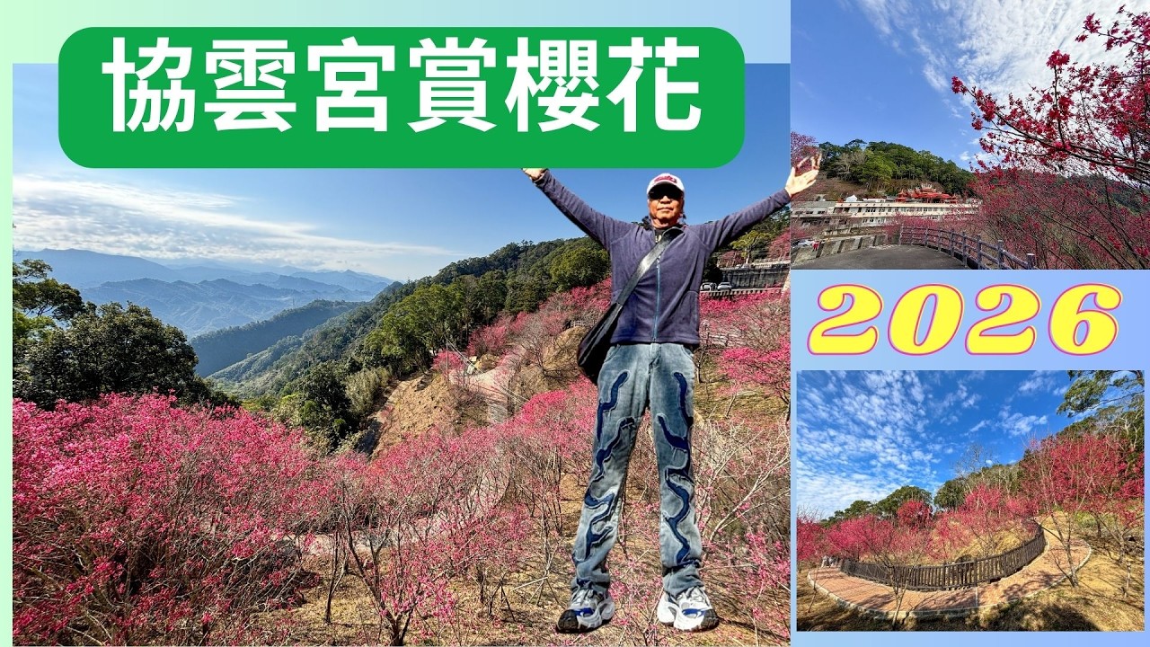 20260212萬ㄟeye台灣～協雲宮賞櫻花/請打開CC字幕   4K