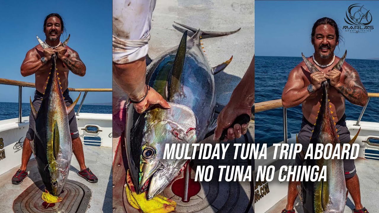 3.5 Days aboard in the No Tuna No Chinga catching yellow fin tuna