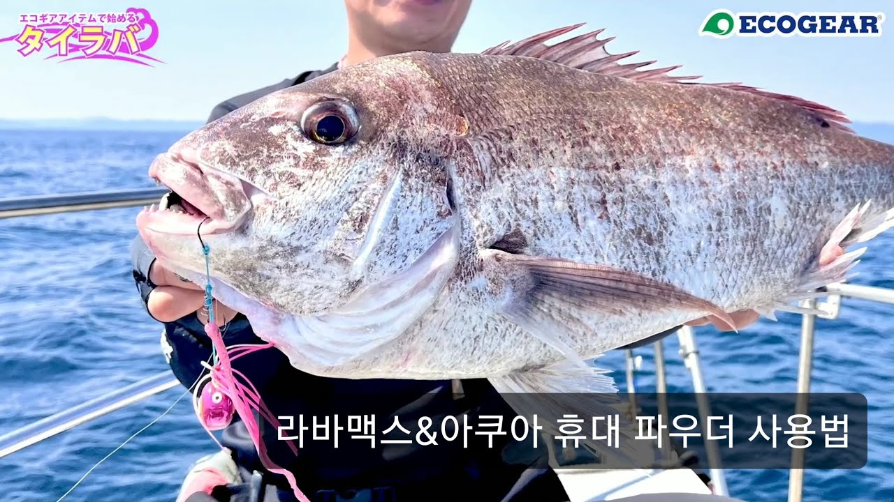 에코기어 어디까지 사용해 봤니? ft.라바맥스&아쿠아휴대파우더 #에코기어웜 #라바맥스 #아쿠아휴대파우더