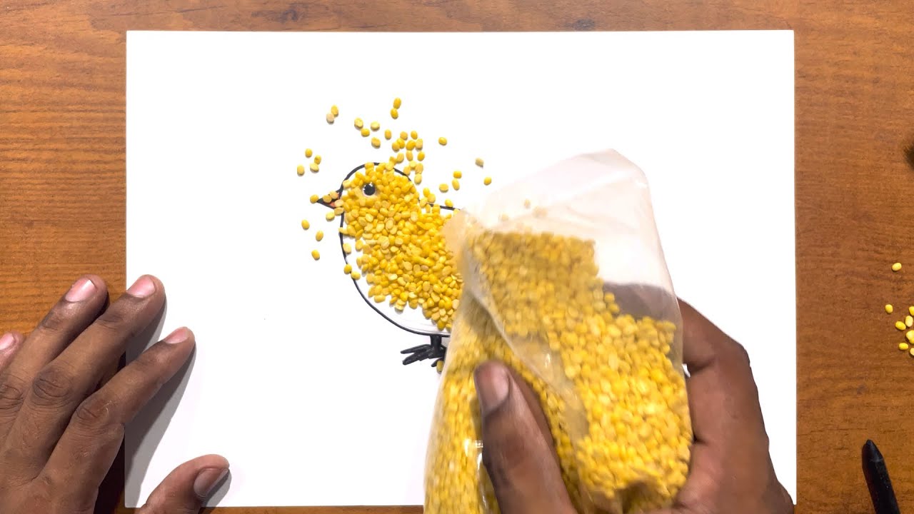 Pulse Activity For Kids | Dal Activity | Activity For Kids