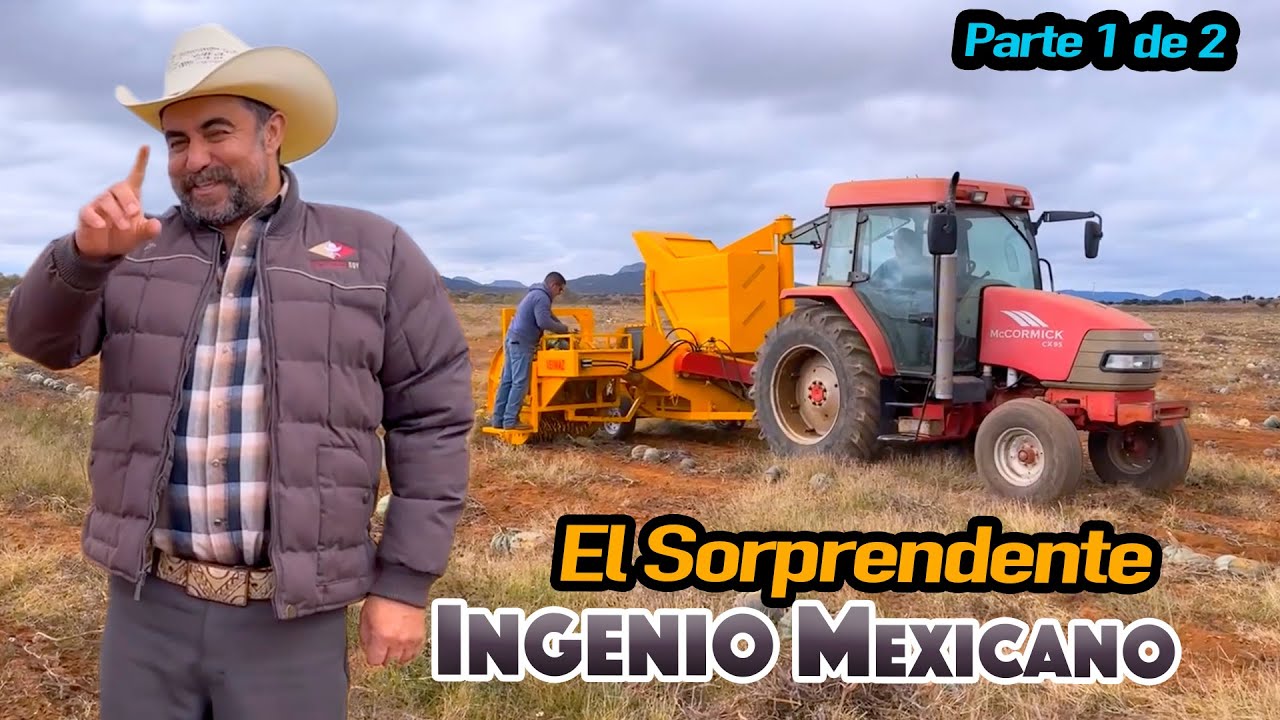 CAMBIAR FRIJOL POR CALABAZA una gran opción de siembra