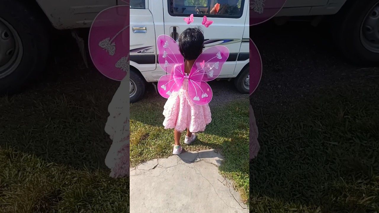 Butterfly butterfly where are you going🦋 #shorts #butterfly #fancydress