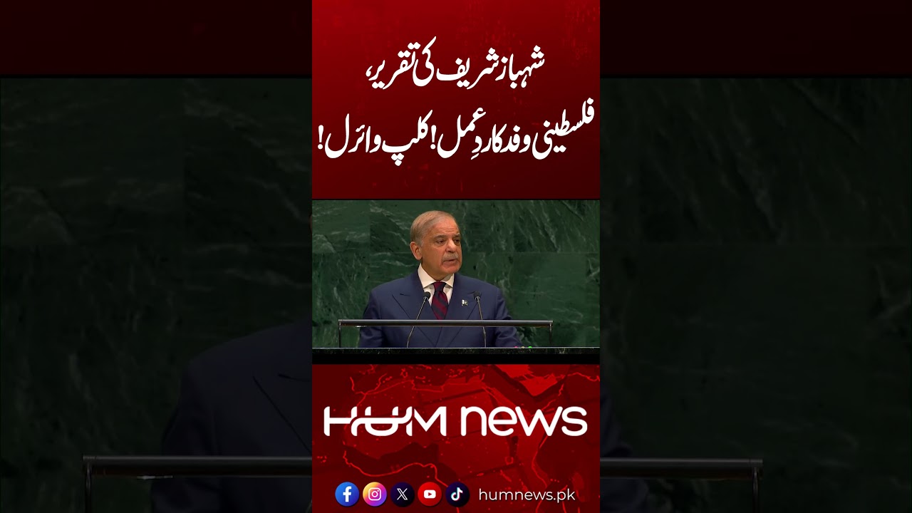 Shehbaz Sharif&rsquo;s Palestine Speech: Palestinian Delegation&rsquo;s Reaction Goes Viral!
