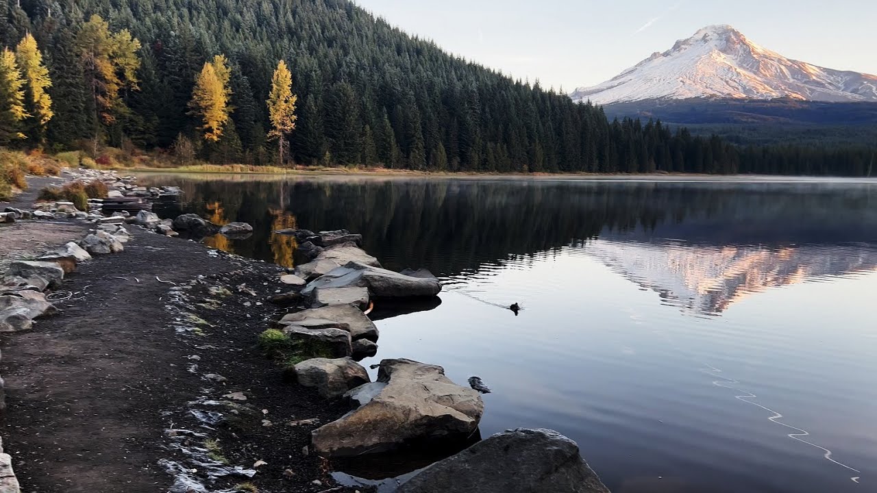 (4K UHD) HIKING HIGHLIGHTS - The Legendary Shoreline @ Trillium Lake Dam Day Use Area! | Mount Hood