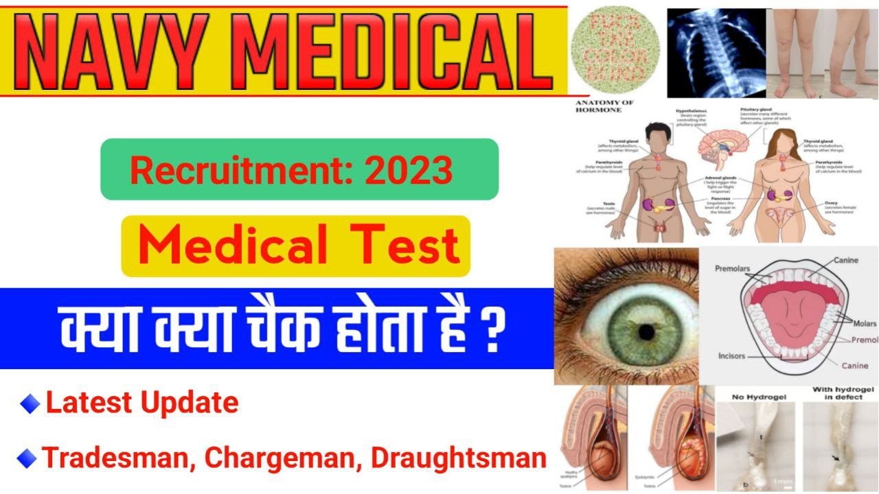 Indian Navy Tradesman Mate II Medical कैसे होता है II Navy Chargeman & Tradesman Medical Update