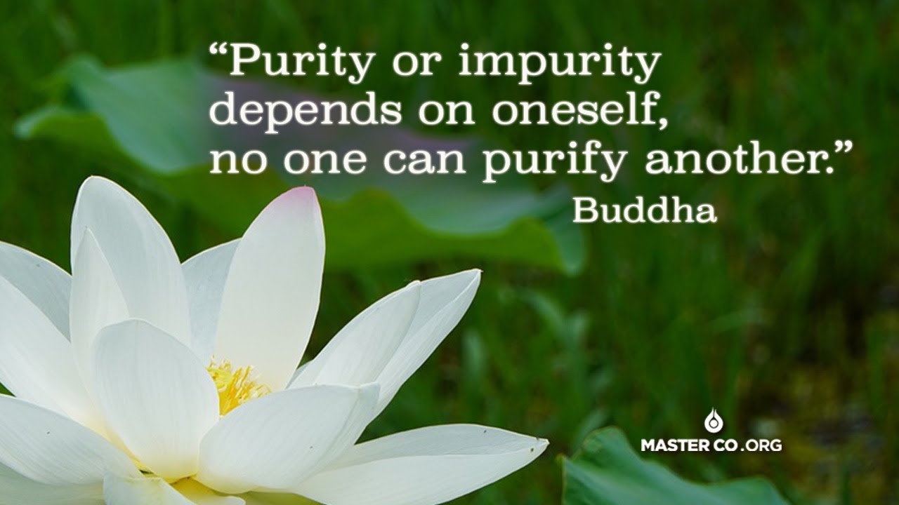ATL: Self Purification