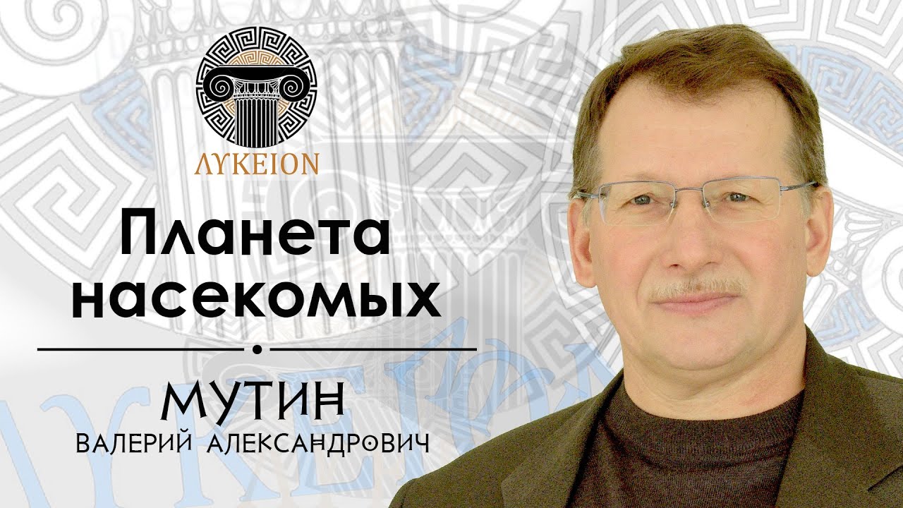 Планета насекомых / Валерий Мутин, доктор биологических наук, профессор АмГПГУ