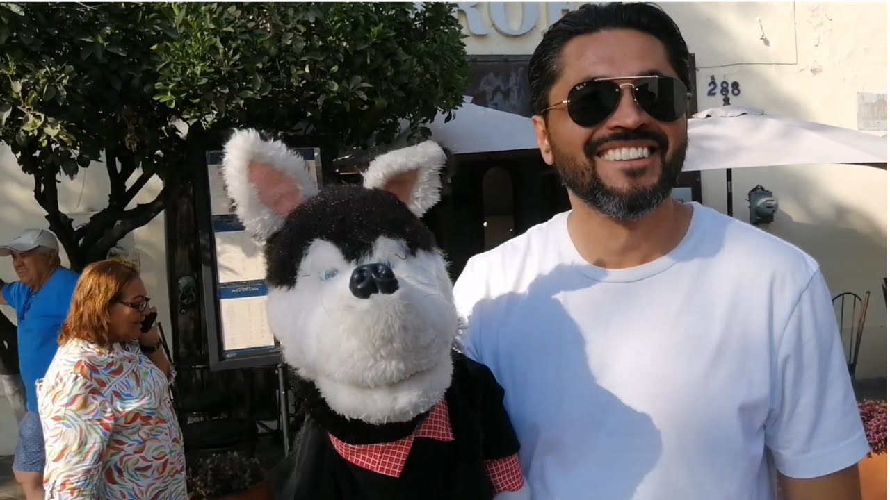 Habilidades Clínicas con Tokyo el Husky: una aventura ACT en México.