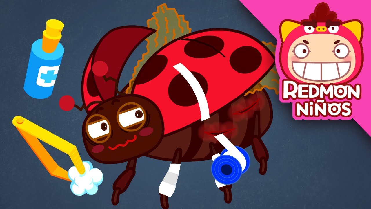 Salvando a la Mariquita | Equipo de rescate de insectos | redmon Español | REDMON NiÑOS