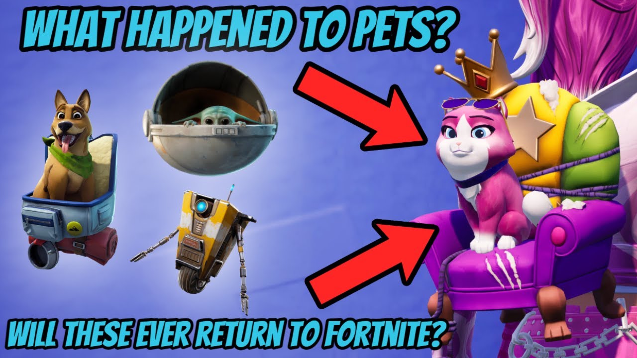 What Happened To Pets in Fortnite? (Fortnite Battle Royale)
