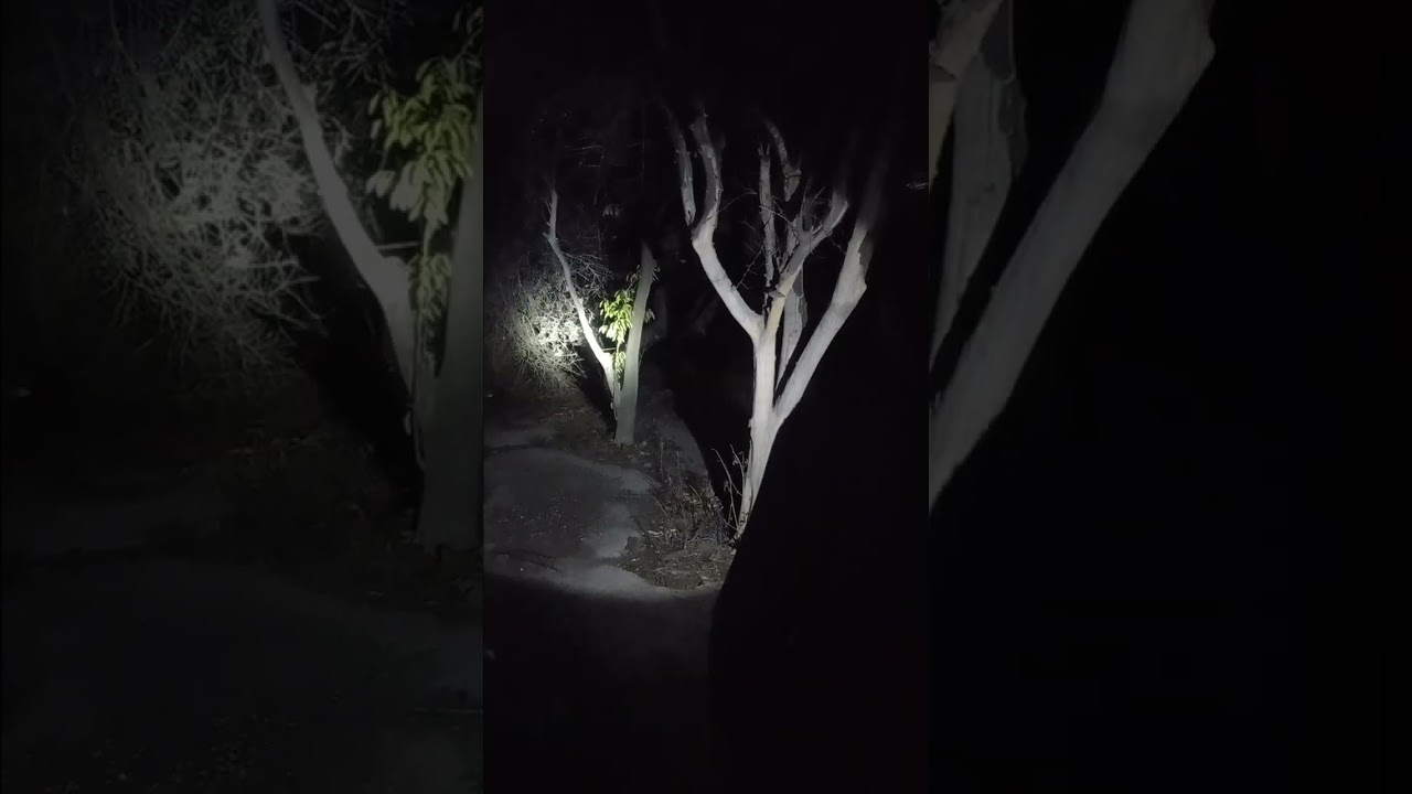 La casa embrujada parte 2