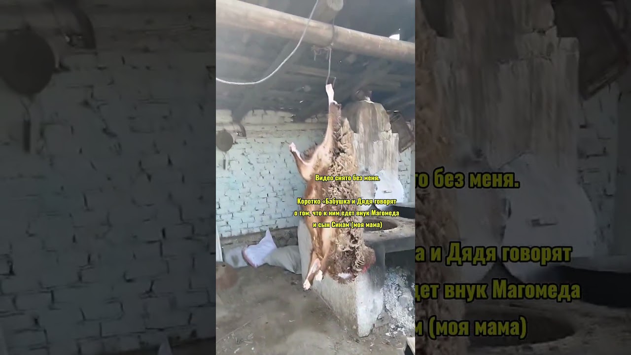 Чем проще люди, тем они добрее❤️ Держите кусочек курдской традиции) подписывайтесь, ест продолжение!