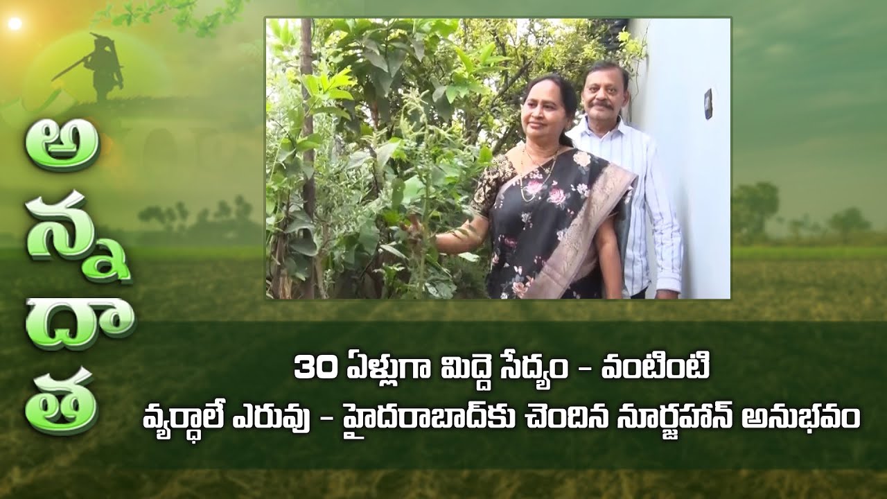 Successful terrace gardening with kitchen waste as manure by Noorjahan @Hyderabad - Women's day spl