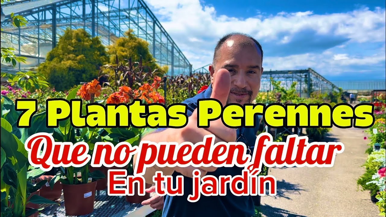 &ldquo;7 Plantas Perennes Que No Pueden Faltar en Tu Jard&iacute;n&rdquo;