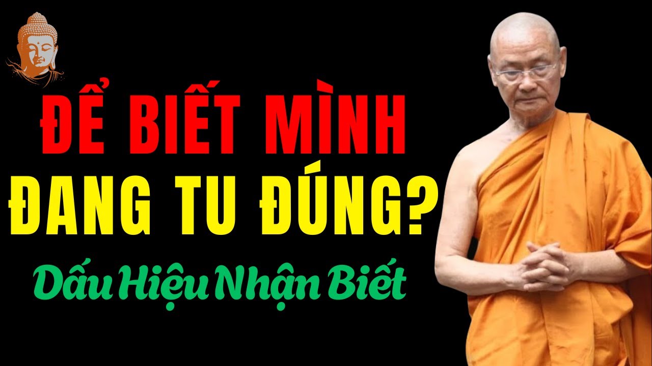 Làm Sao Biết Mình Đang Tu Đúng  - 3 Dấu Hiệu Nhận Biết  Thầy Viên Minh