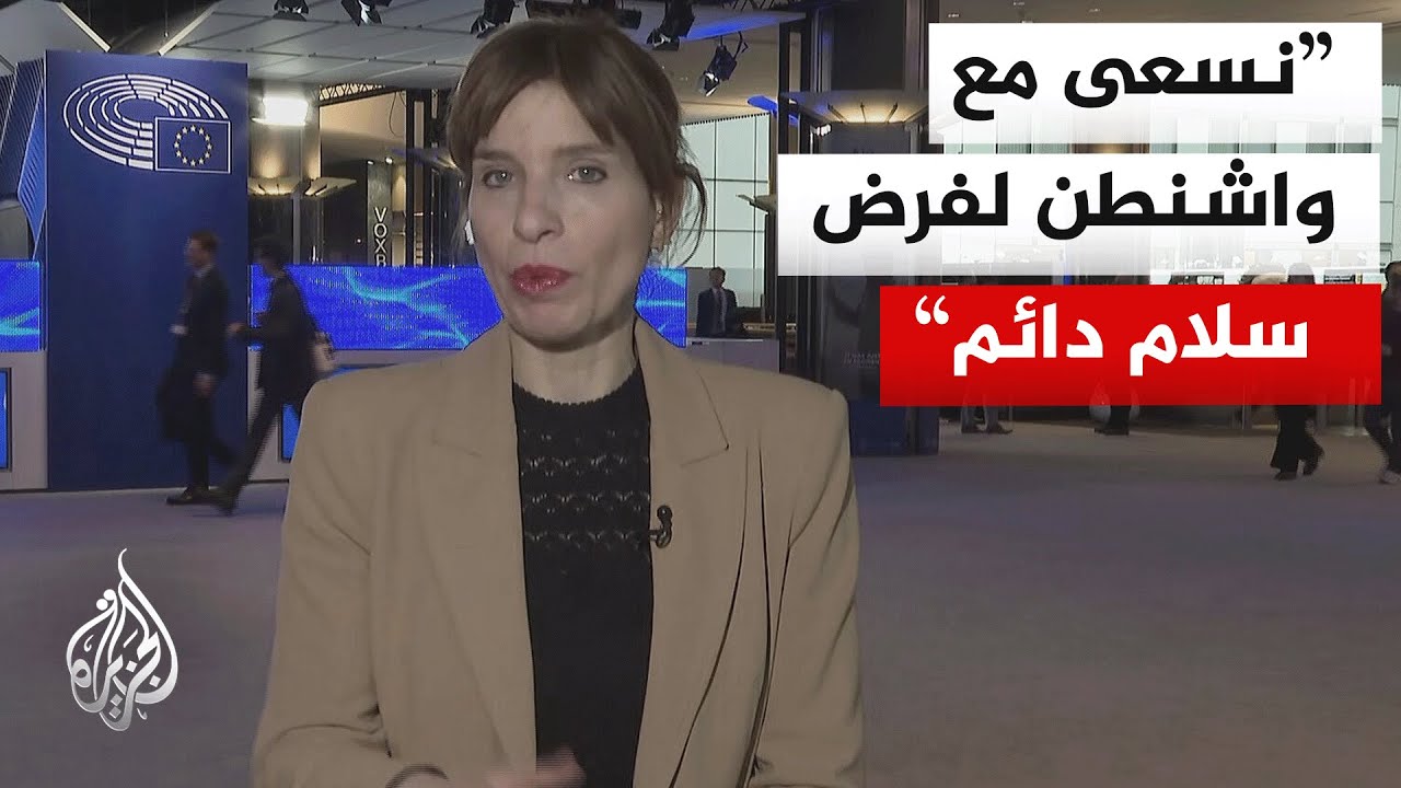 نائبة رئيس لجنة الشؤون الخارجية في البرلمان الأوروبي: ندعم سيادة أوكرانيا على كافة الأراضي المحتلة