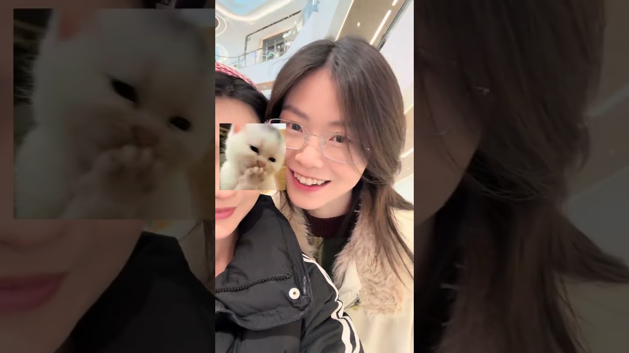Our Juebao is back as a little kitten again #Sagittarius Gemini#视频博客#vlog 1 Billion Traffi