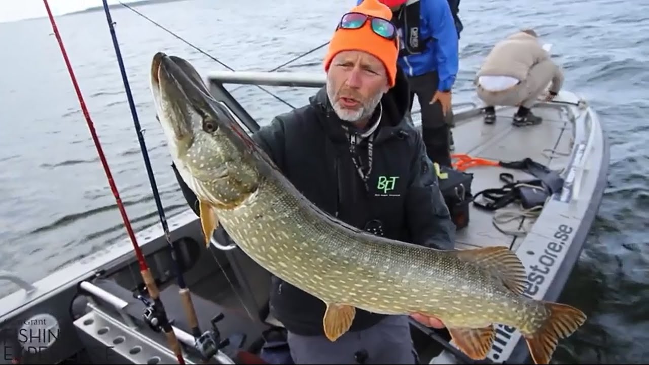Stora gäddor i Rügen - Glen Grant Fishing Experience