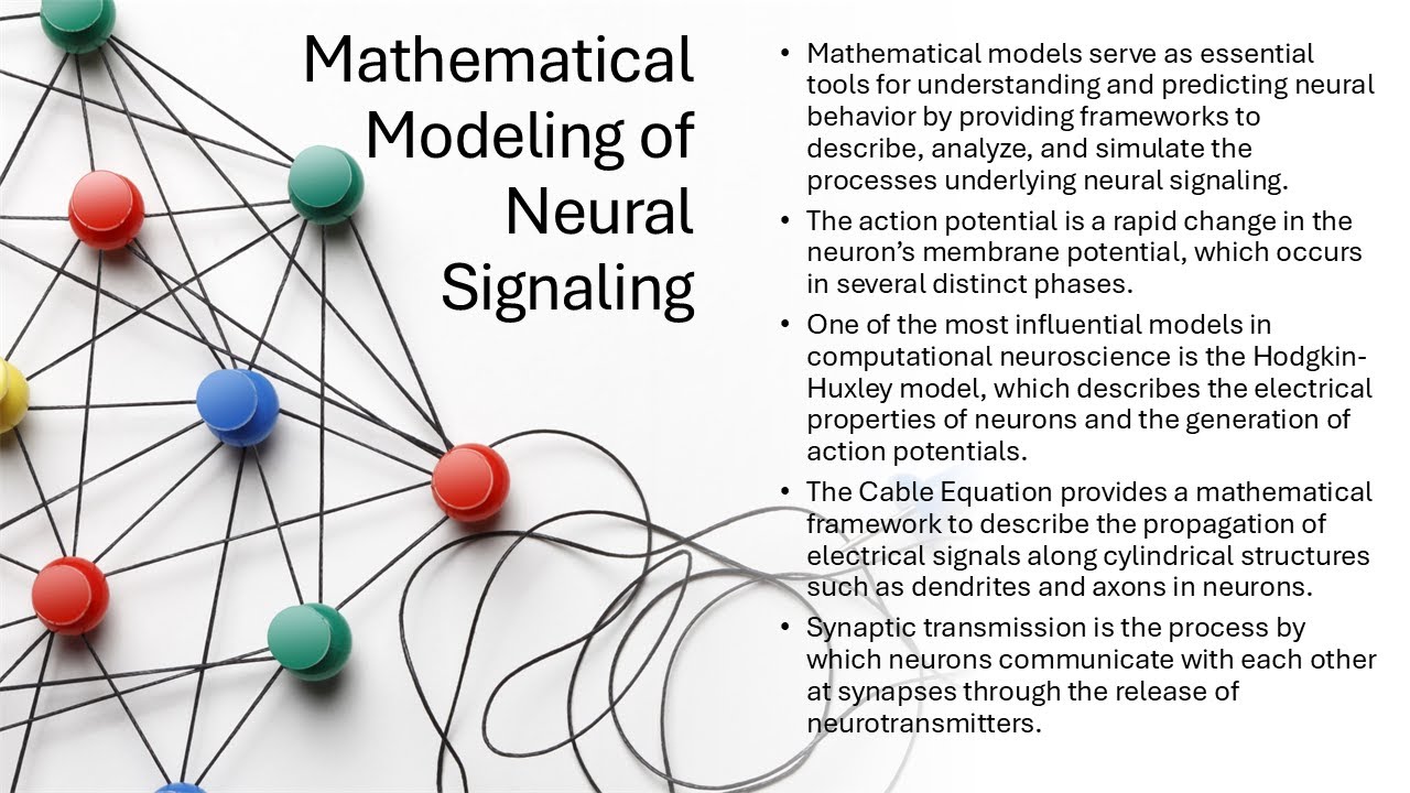 Mathematical Modeling of Neural Signaling (Notes included)