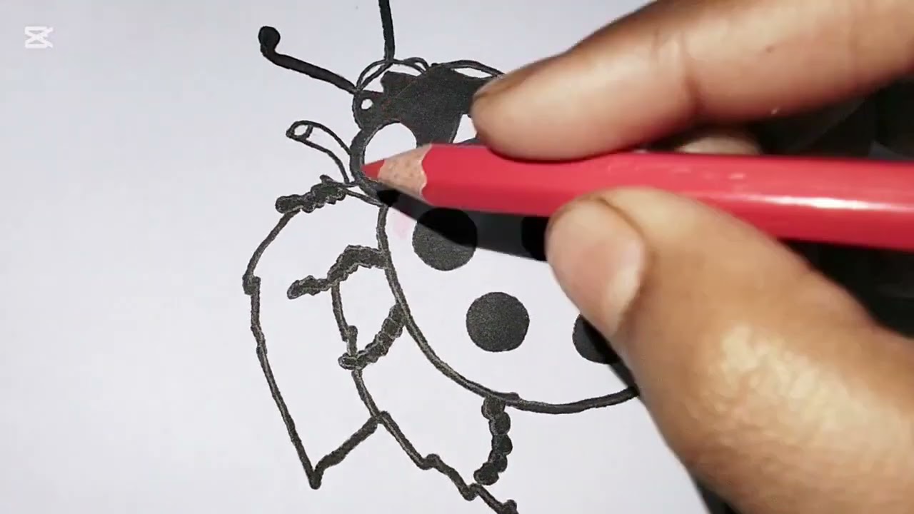 একটি লেডিবাগ পোকার আর্ট