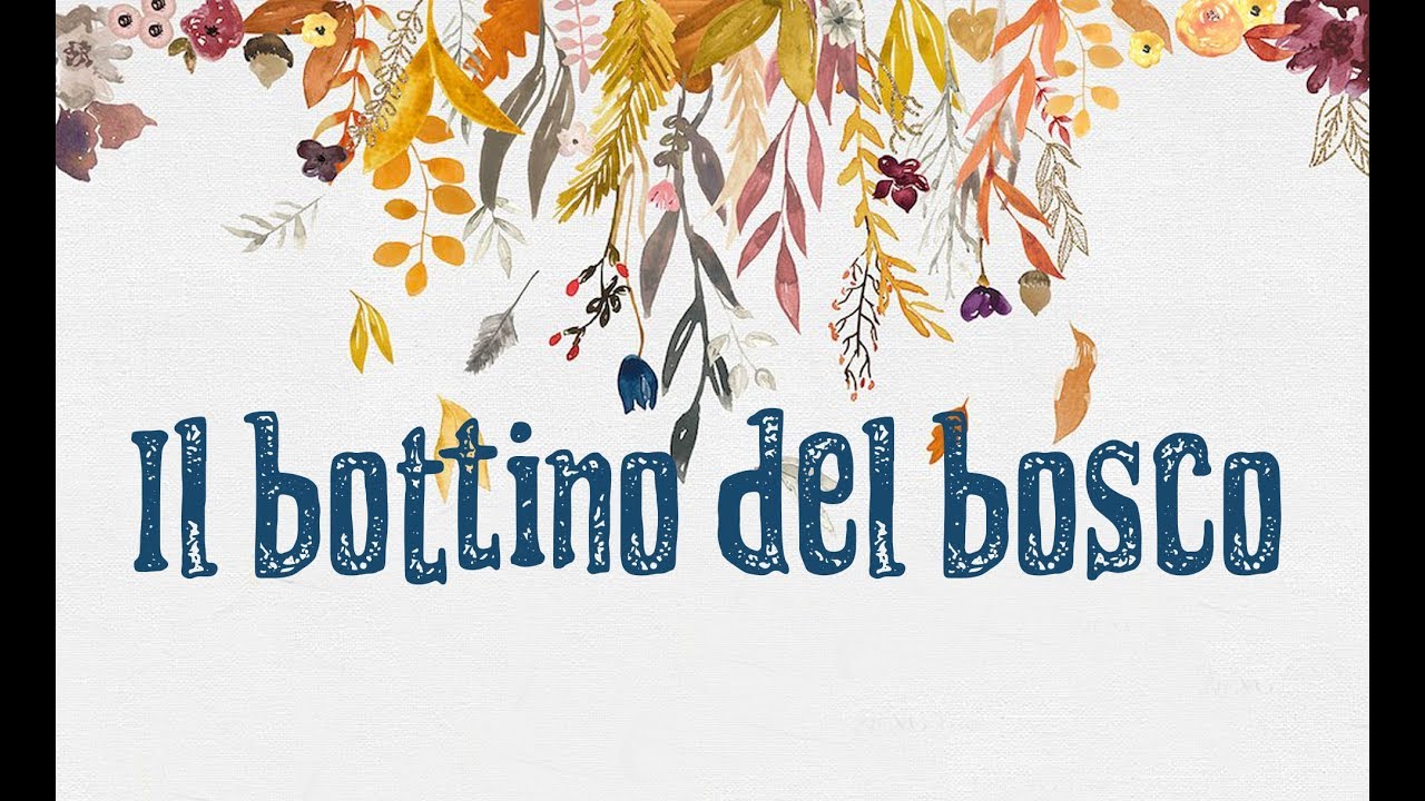 Hocus Prism 2 - Il bottino del bosco