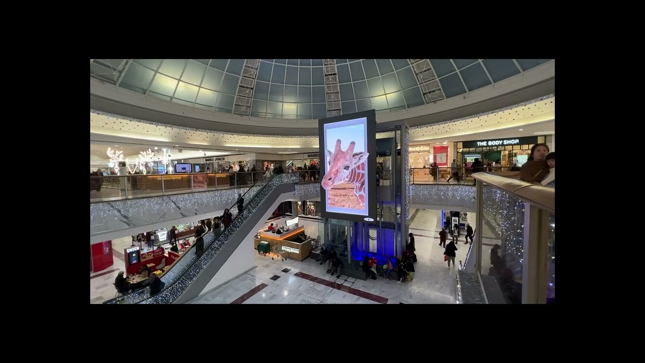 3D DOOH from any angle