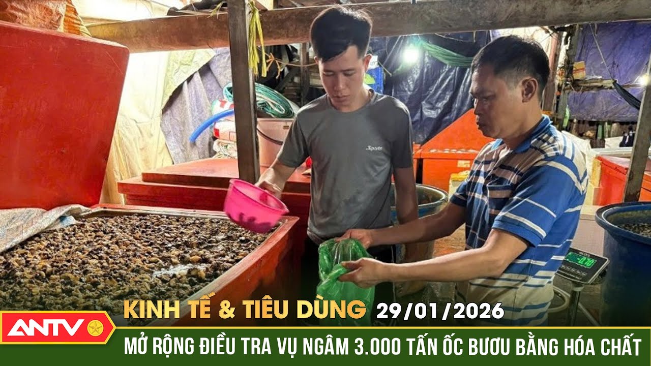 Bản tin kinh tế và tiêu dùng ngày 29/1: Mở rộng điều tra vụ ngâm ốc bằng hóa chất xây dựng | ANTV