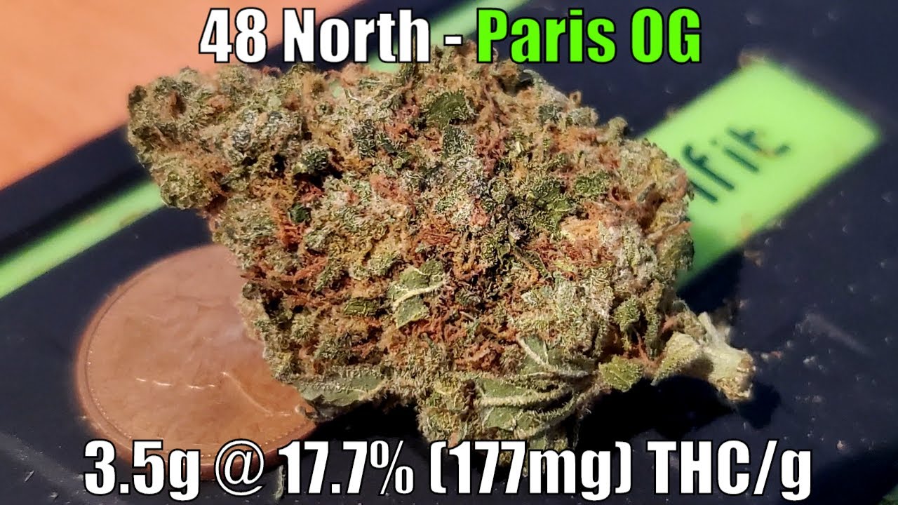 48North - Paris OG Unboxing Review - 3.5g @ 17.7% (177mg) THC/g (+Extreme Closeups)