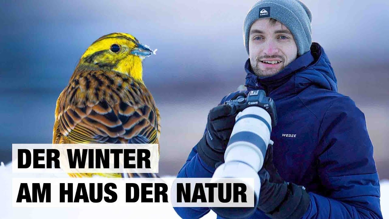 Wir fotografieren Vögel im Garten | Naturfotografie im Winter